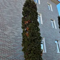 Декоративно штукатурная панель АМК Кирпич 322