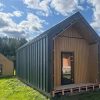 Реечная стеновая панель CM Wall Pine (Сосна) ДПК, 26х219х3000мм